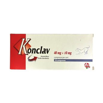Imagen de Antibiótico KONCLAV 50 mg Blister (10 Comprimidos)