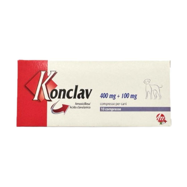 Imagen de Antibiótico KONCLAV 500 mg Blister (10 Comprimidos)