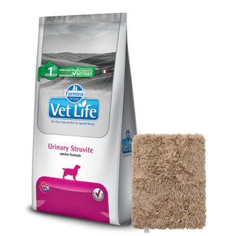 Imagen de Alimento VET LIFE Perro Urinary Struvite 10 kg + Regalo