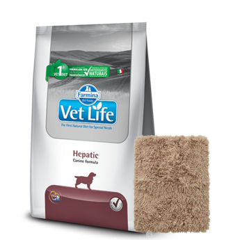 Imagen de Alimento VET LIFE Perro Hepatic 10 kg + Regalo