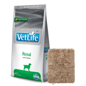 Imagen de Alimento VET LIFE Perro Renal 10 kg + Regalo