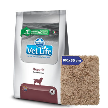 Imagen de Alimento VET LIFE Perro Hepatic 10 kg + Regalo