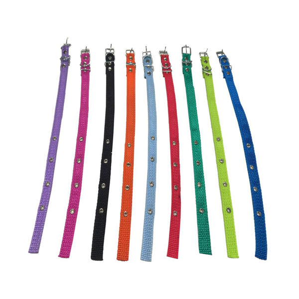 Imagen de Collar Para Perro Cinta Nro 4
